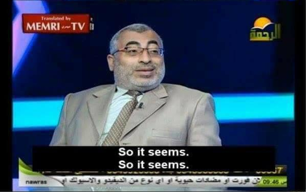 memri seems.webp