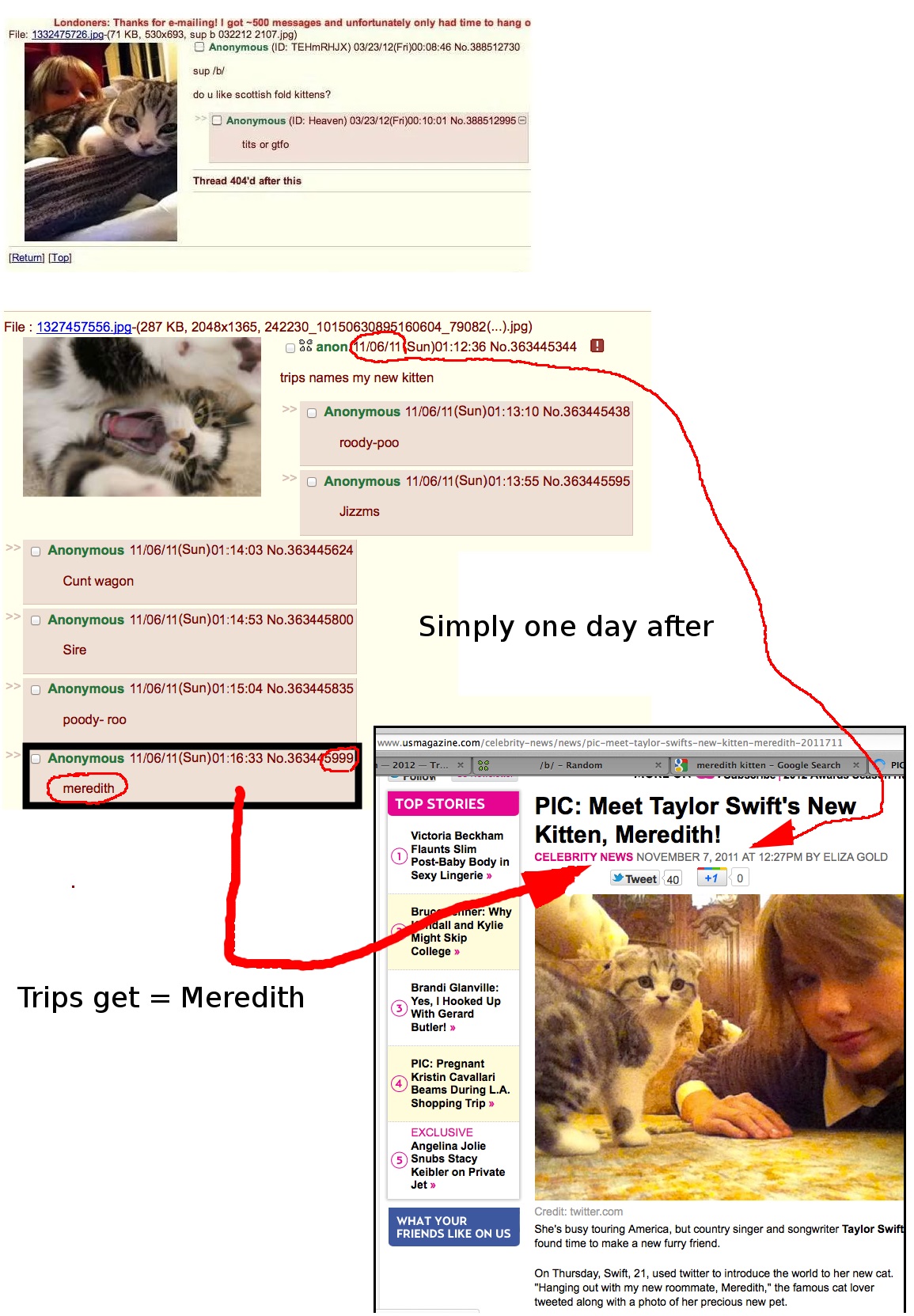 meredith.jpg