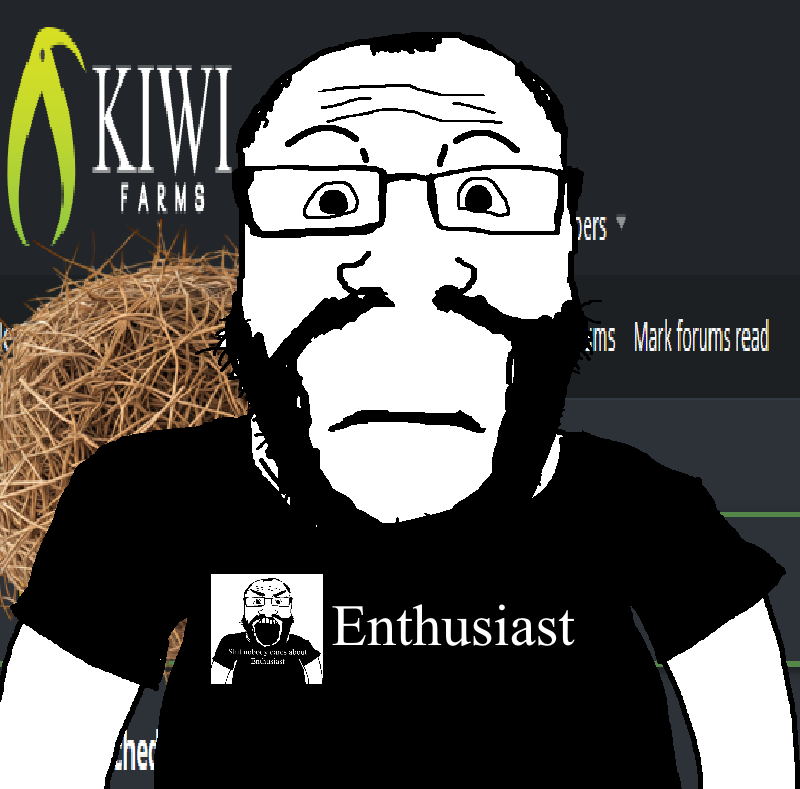 meta enthusiast.webp