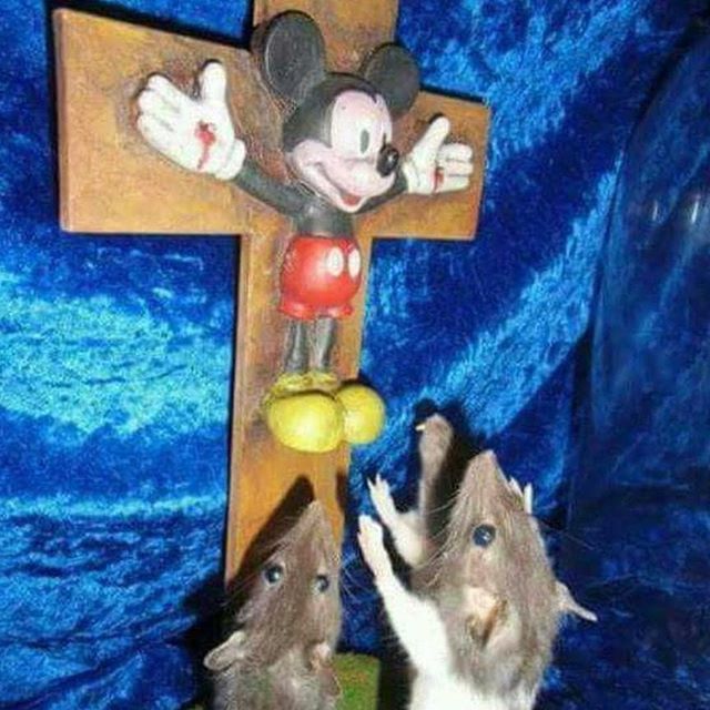mickey mouse.jpg
