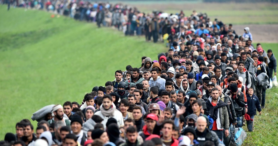 Migrants 1.jpeg
