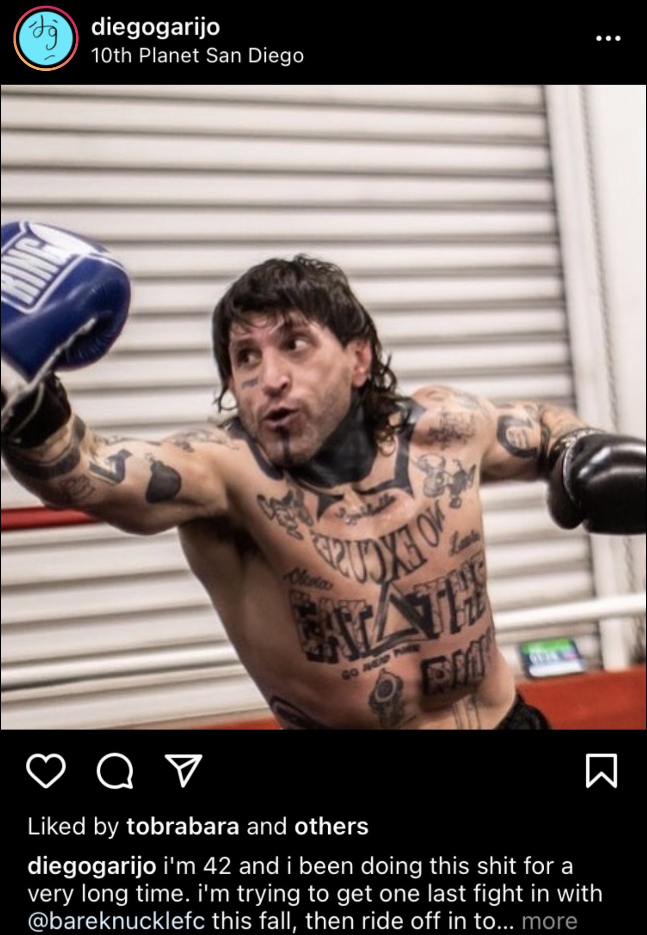 mmafighter.jpeg