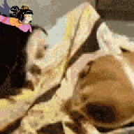 monkey.gif