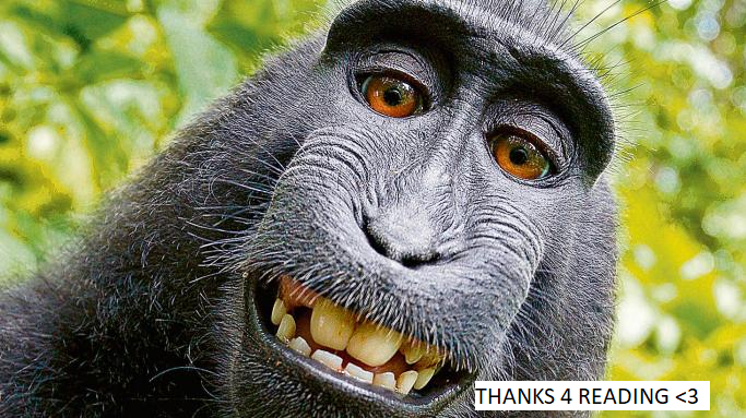 monkey.png