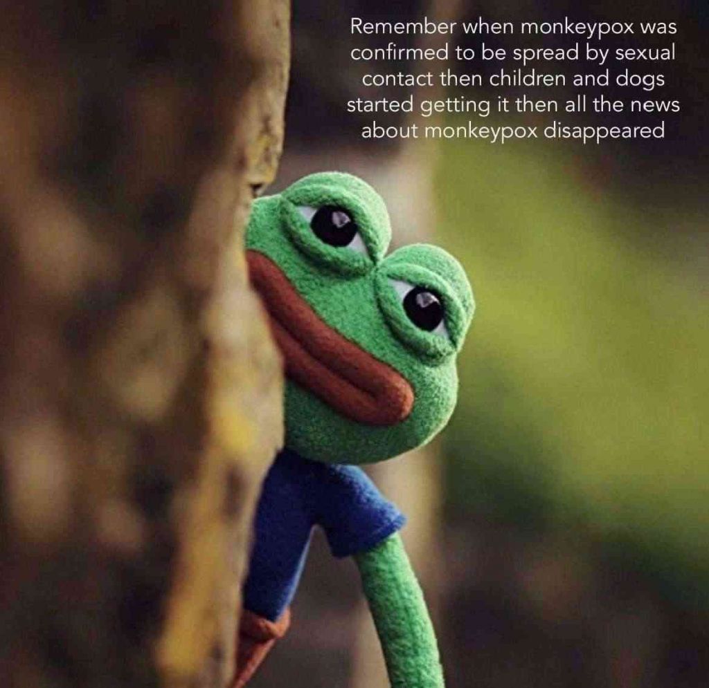 monkeys.jpg