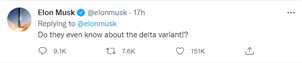 musk2.PNG