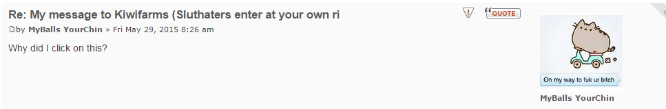 My message to Kiwifarms  Sluthaters enter at your own risk  -  SlutHate.com  PuaHate .png