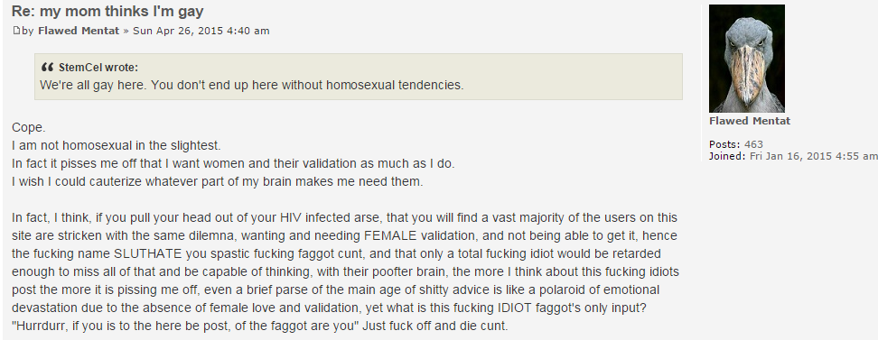my mom thinks I'm gay -  SlutHate.com  PuaHate  (2).png