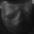 my_profile.png