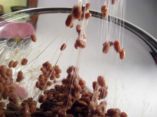 natto-strings.jpg