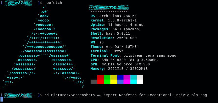 Neofetch-for-Exceptional-Individuals.png