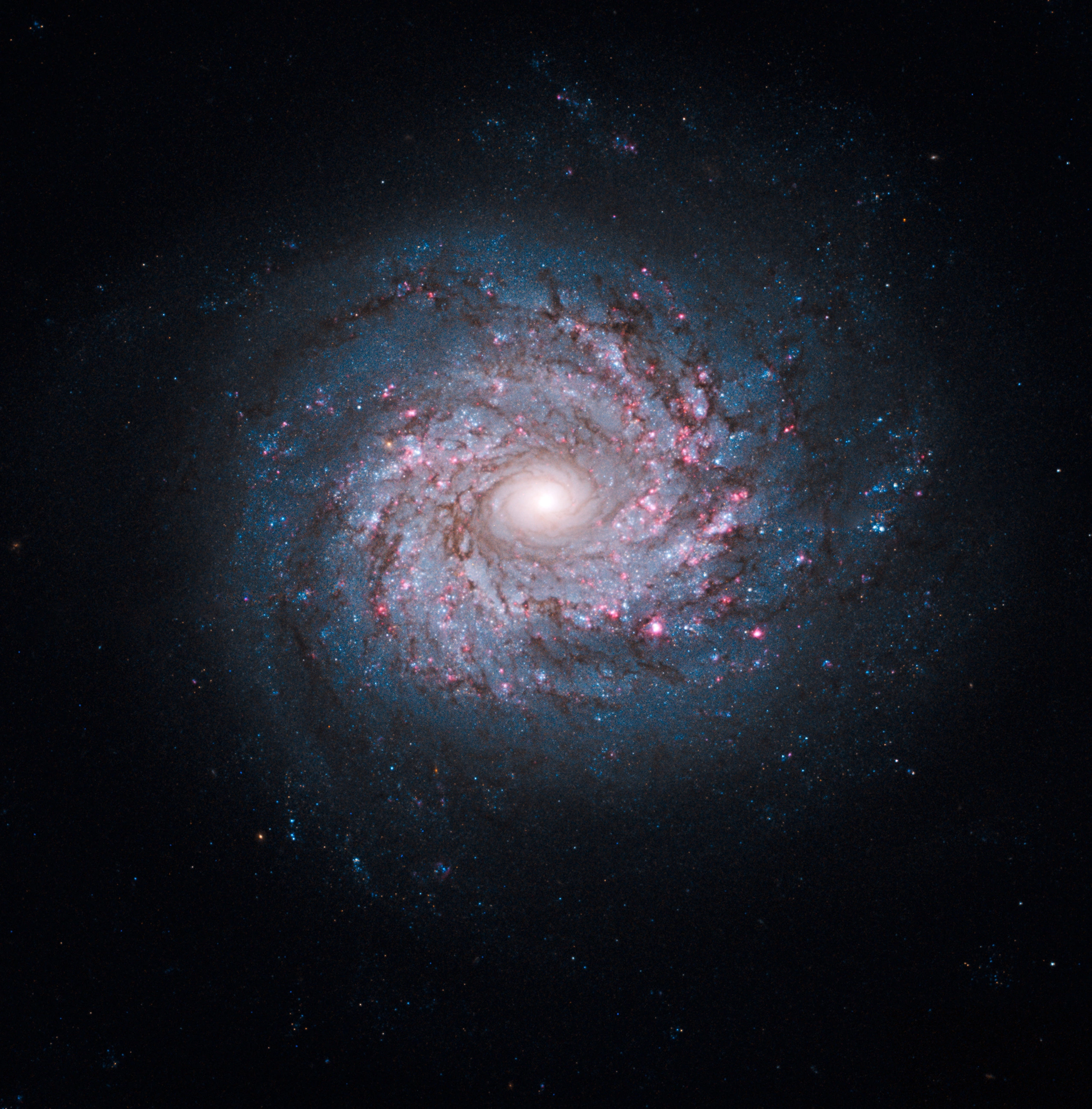 NGC-3982.webp