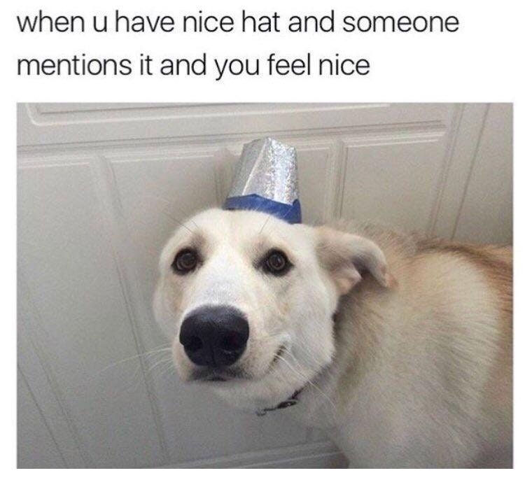nice_hat.jpg