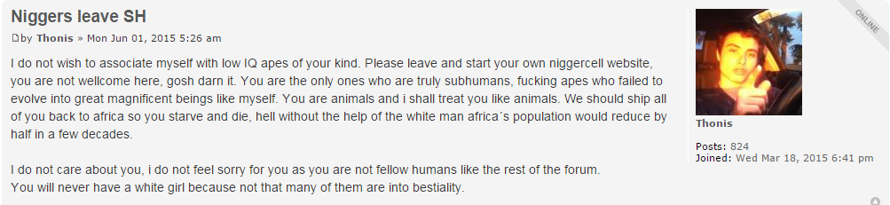 Niggers leave SH - SlutHate.com  PuaHate .png