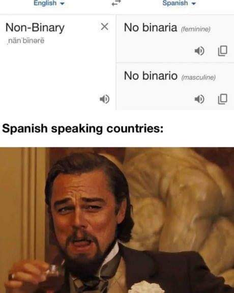 non binary meme.jpg
