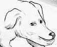 nool~2.png