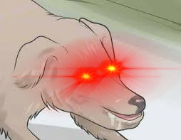 null_evil.jpeg