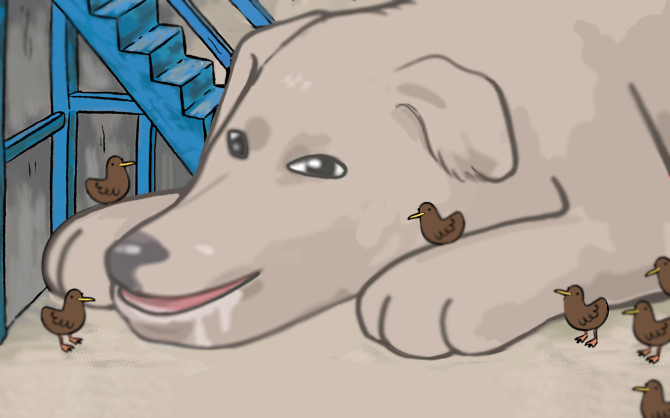 nullthedog.png