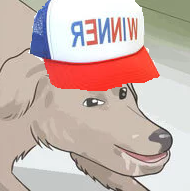 nullwins.png