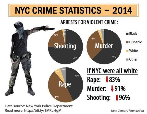 nyc crime stats.jpg