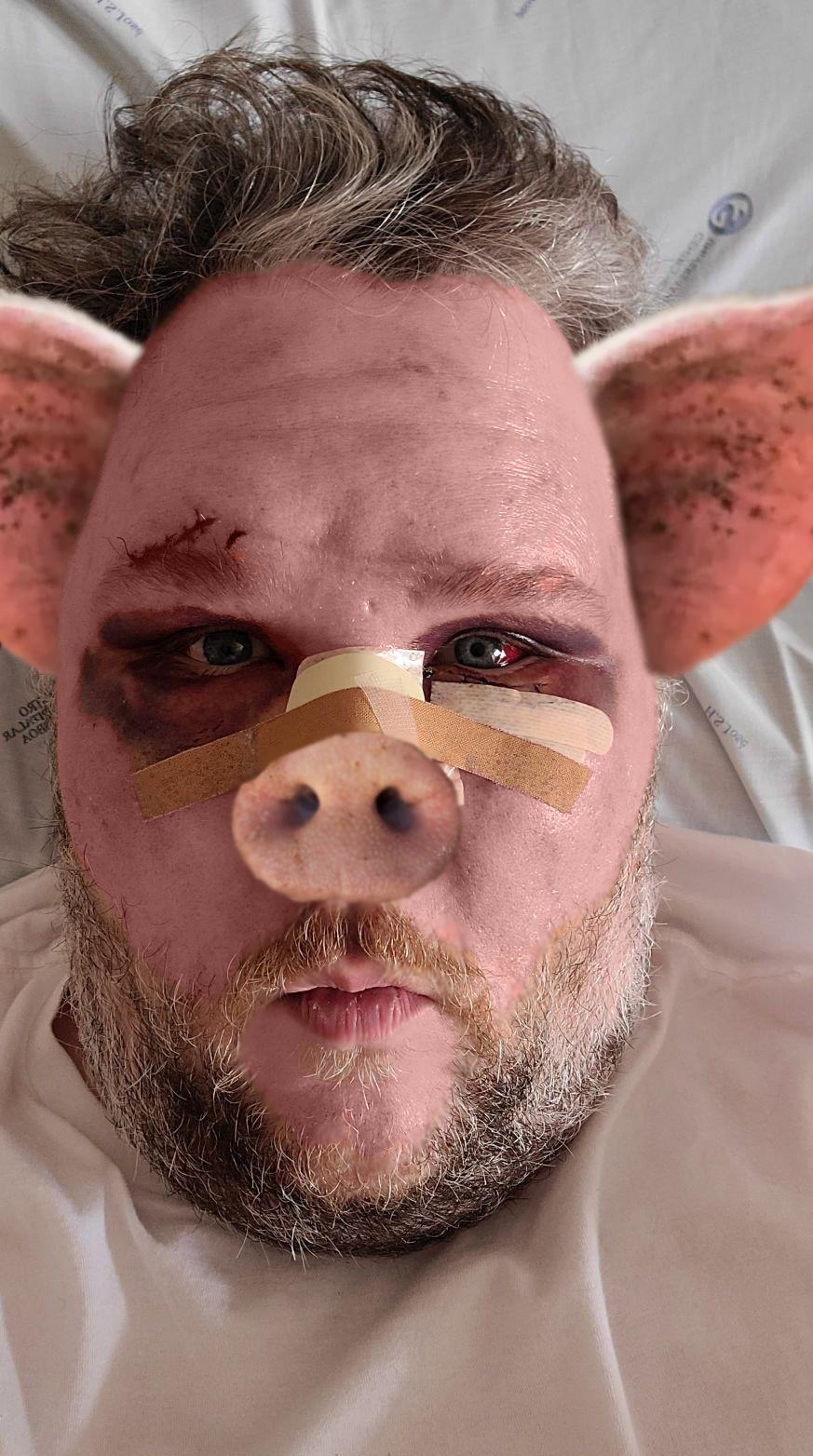 oink port.png