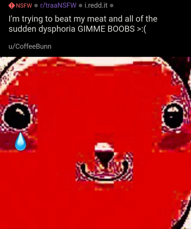 omg_dysphoria_gief_bewb_plox.jpeg