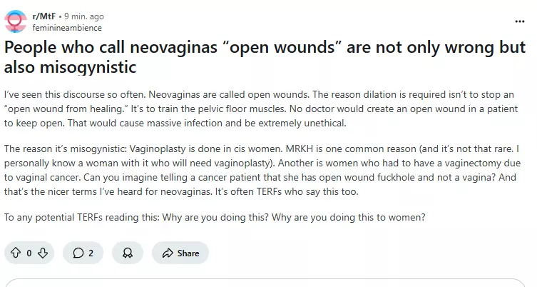 openwounds.webp