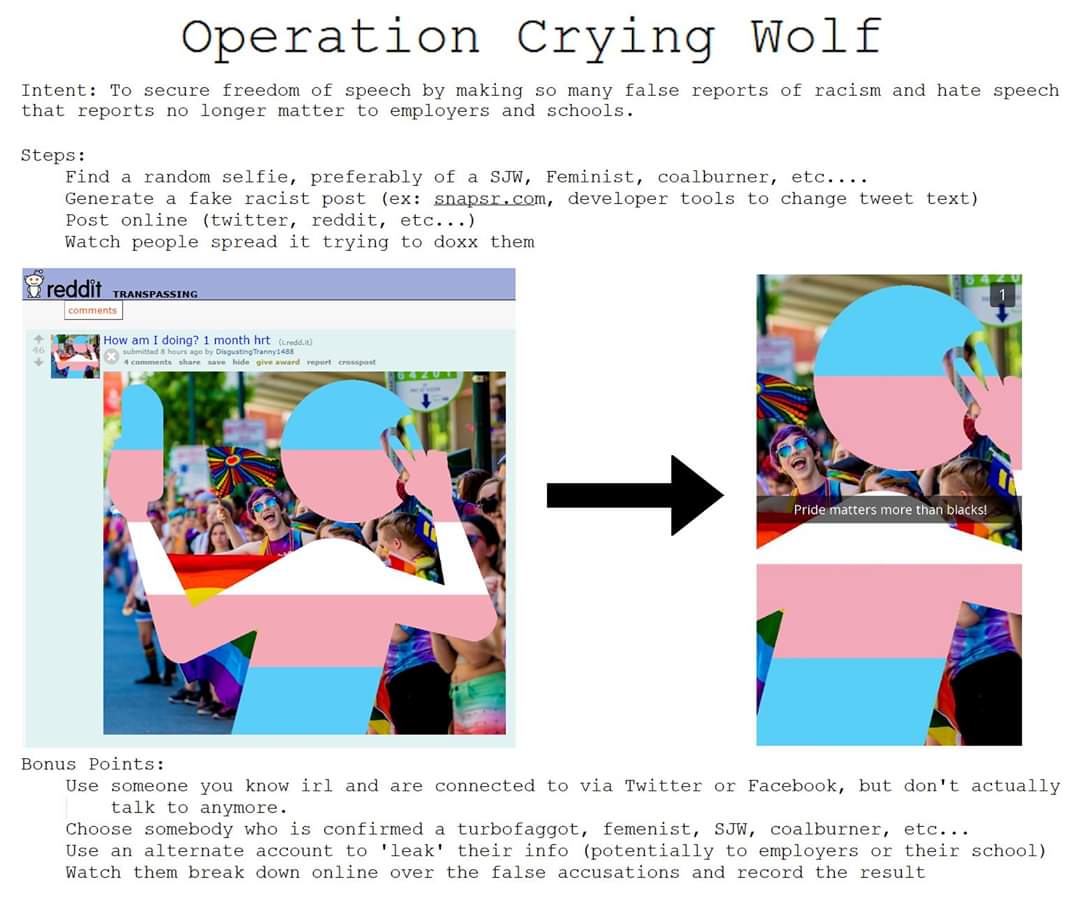 Operation Crying Wolf.jpg