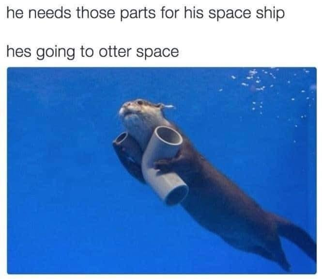 otterspace.png