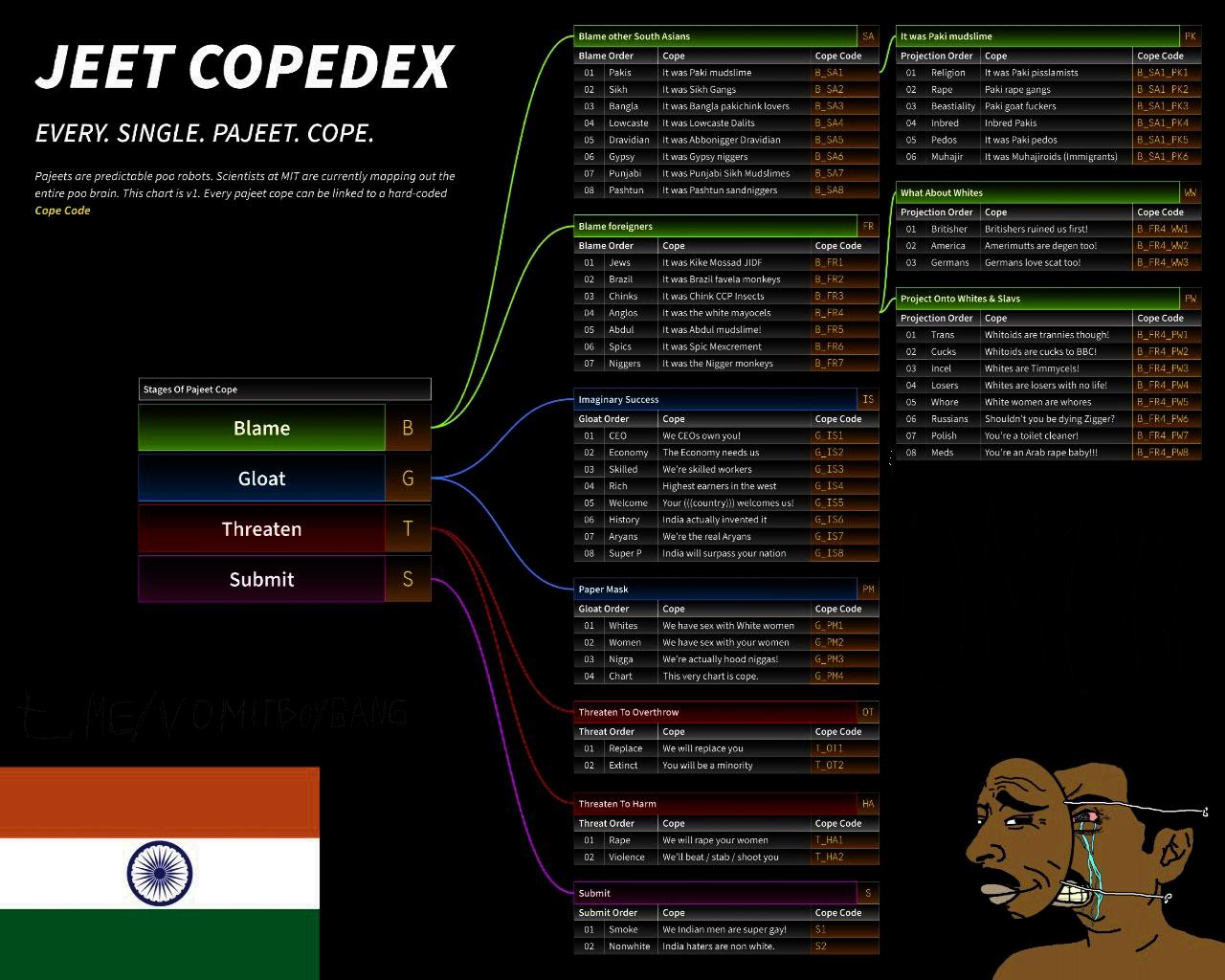 Pajeet----CopesGEM.jpg