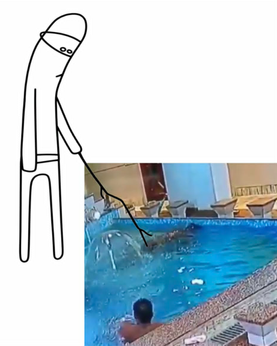 Pajeet45.png