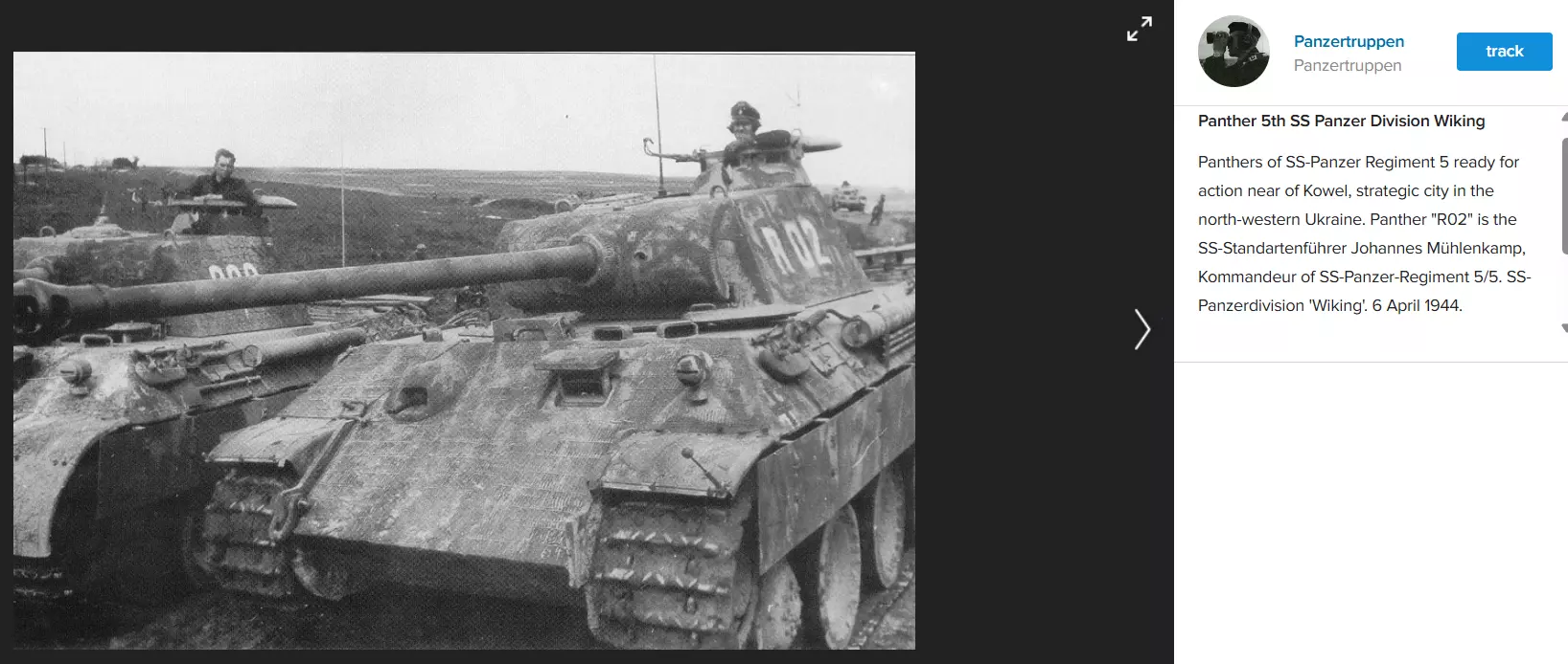 Panther.webp
