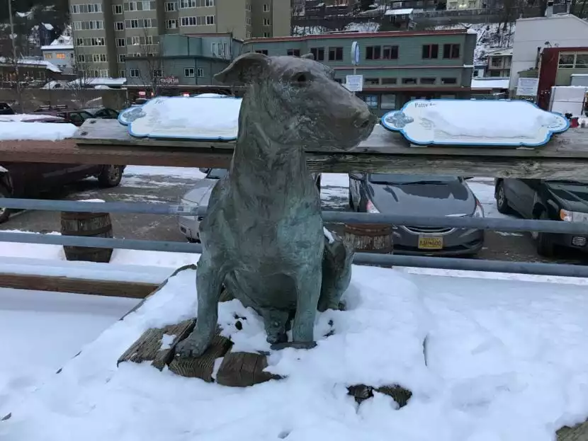 pasnow.webp