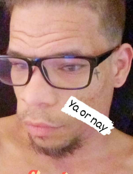 pedo2.jpg