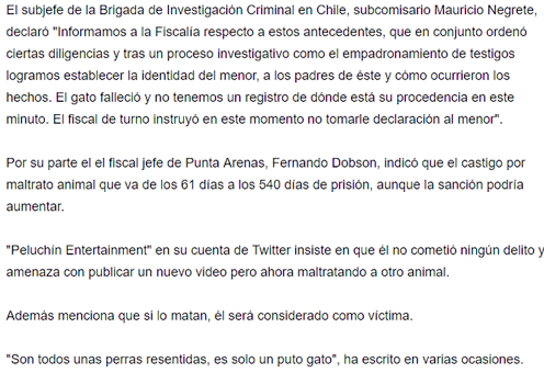 peluchin2.PNG