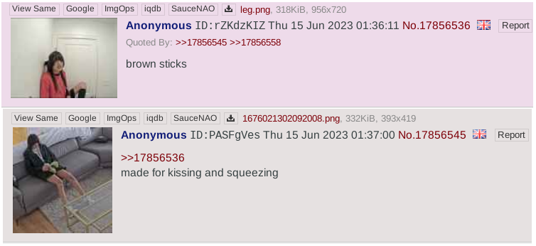 pic5.png