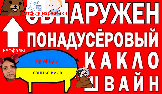 pig.png
