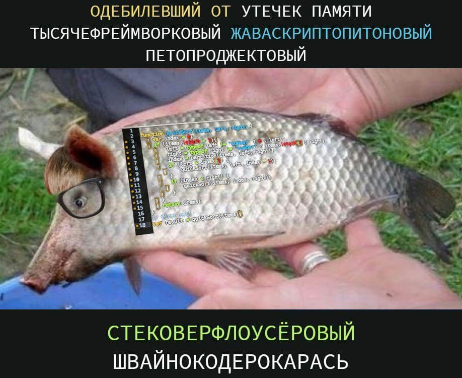 pigcoderfish.png