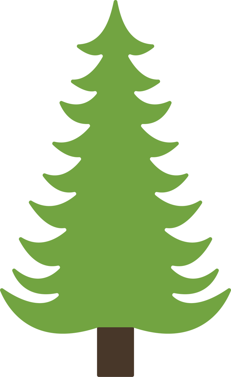 Pine Tree.png