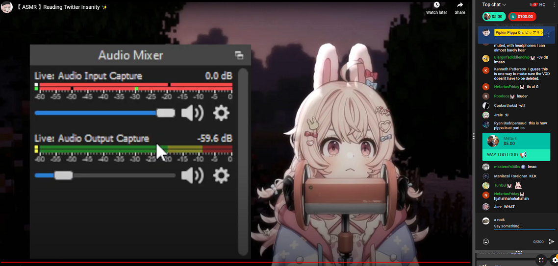 Pippa_ASMR_audio_cap.PNG