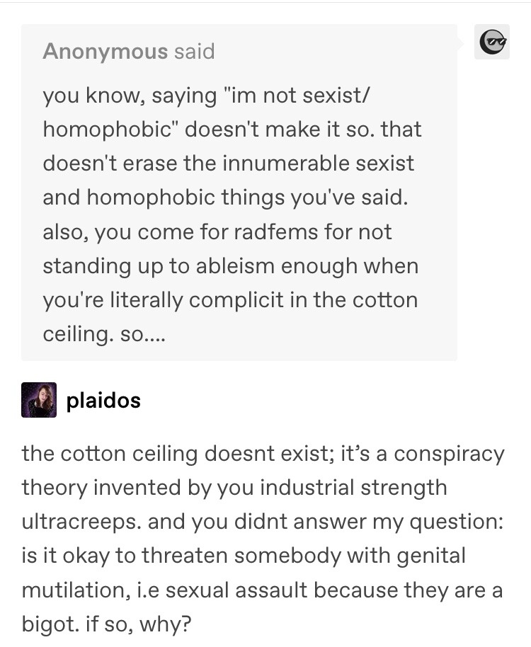 Plaidos 10 - Cotton Ceiling 1.jpg