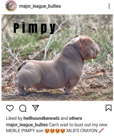 pmpp.PNG