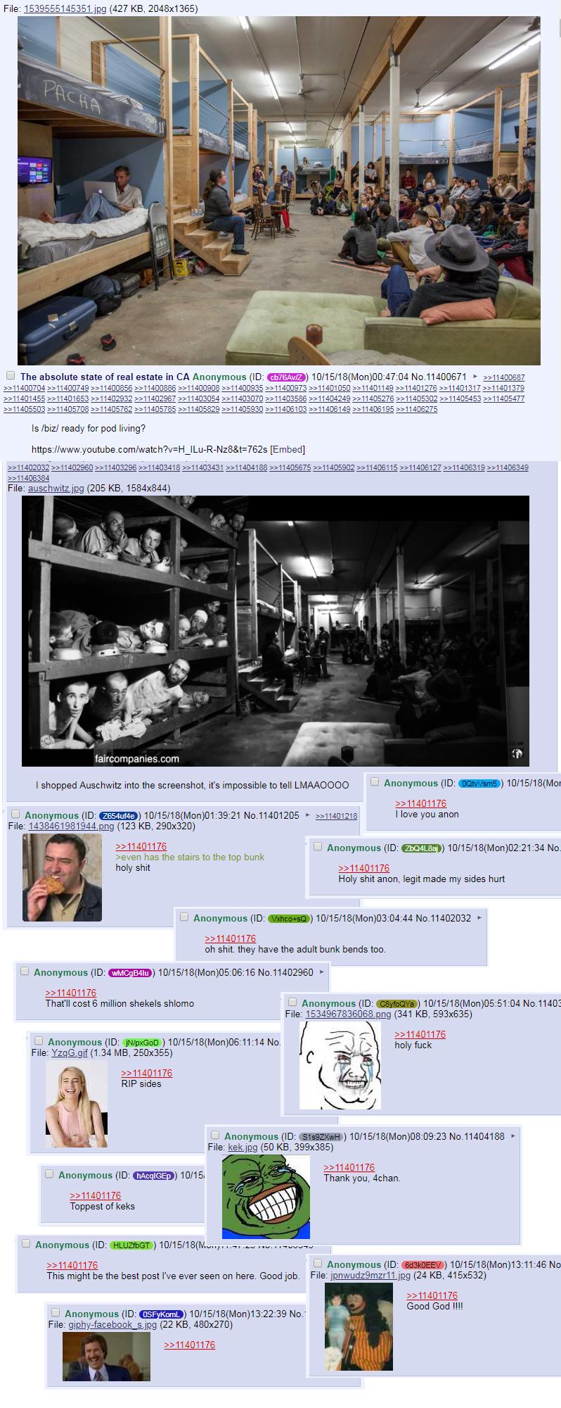 pod lyfe.jpg