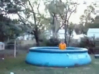 pool.gif