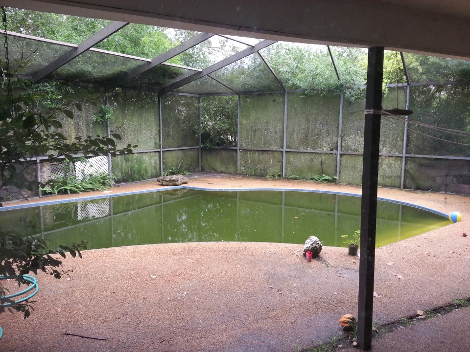Pool.jpg