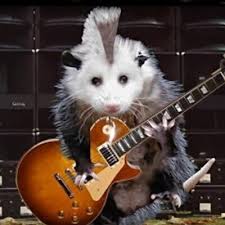 possumrockstar.jpeg