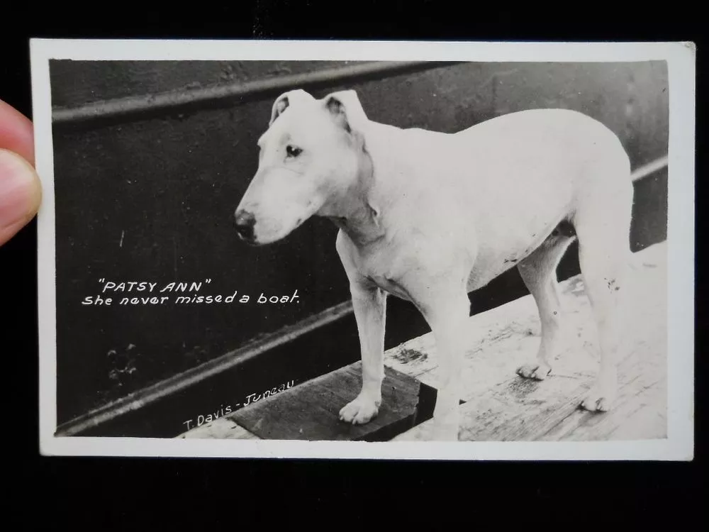 postcardpa.webp