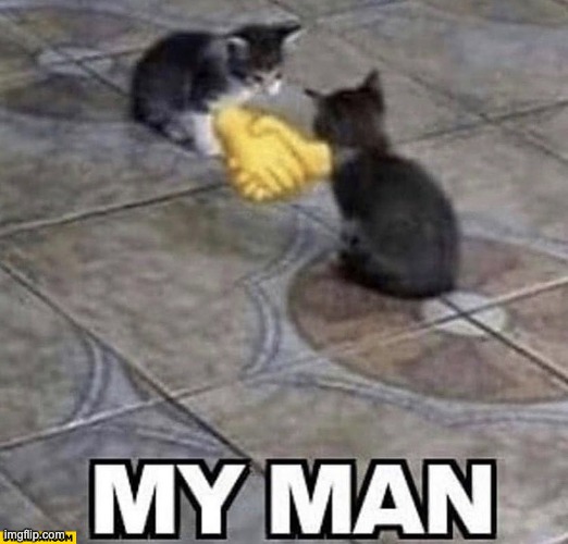proxy-image.jpg