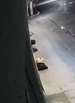 pupperinos.webp