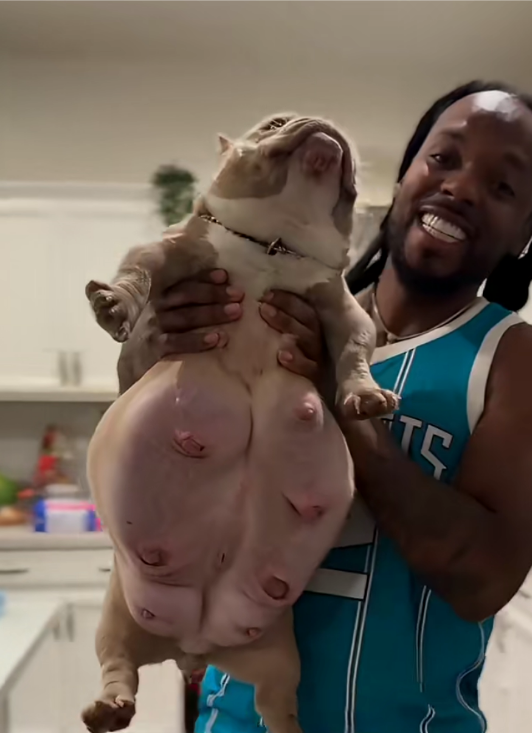 PUPPYMAXXED BLOATLORD.png